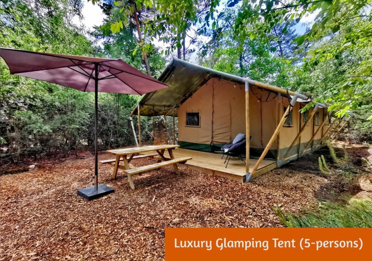Glamping In Nature By Outdoors 홀텐 외부 사진