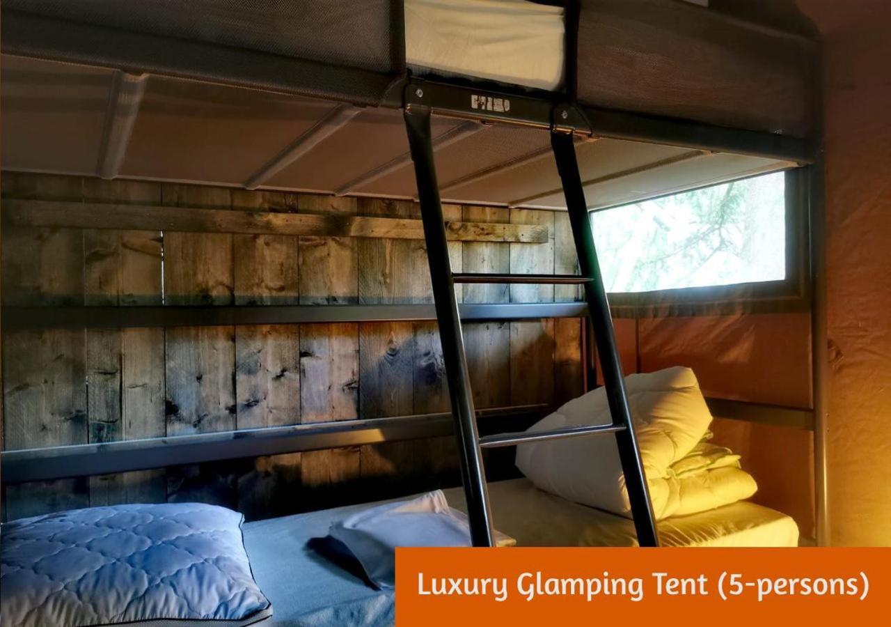 Glamping In Nature By Outdoors 홀텐 외부 사진